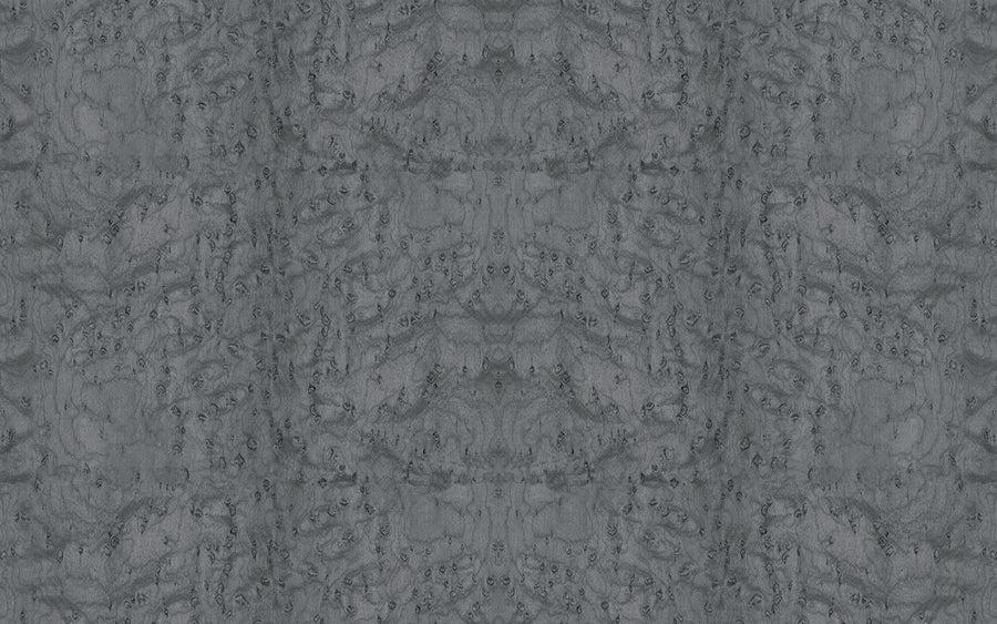 Burl Wood, Driftwood Mural Wallpaper