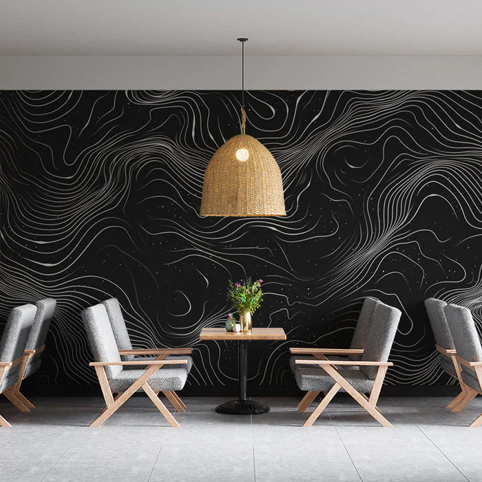 Topographic Nightline Mural Wallpaper Black and White Abstract Contour Lines Mural Wallpaper