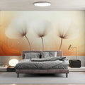Ethereal Dandelion Floral Mural Wallpaper — Soft Peach and Cream Mural Wallpaper - pure wallpaper artwork