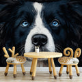 Blue-Eyed Border Collie Portrait Mural Wallpaper — Artistic Focus Mural Wallpaper - pure wallpaper artwork