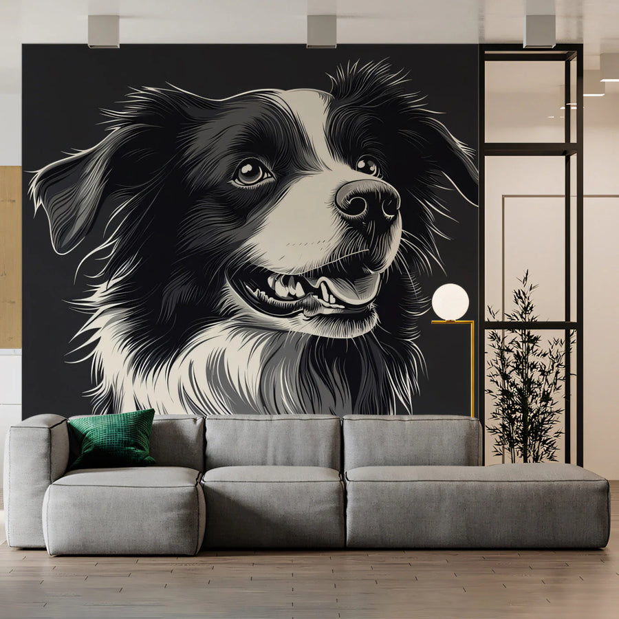 Border Collie Portrait Mural Wallpaper — Striking Monochrome Art Mural Wallpaper