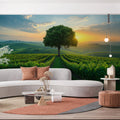 Tuscan Vineyard Sunset Mural Wallpaper — Rustic Landscape Design Mural Wallpaper - pure wallpaper artwork