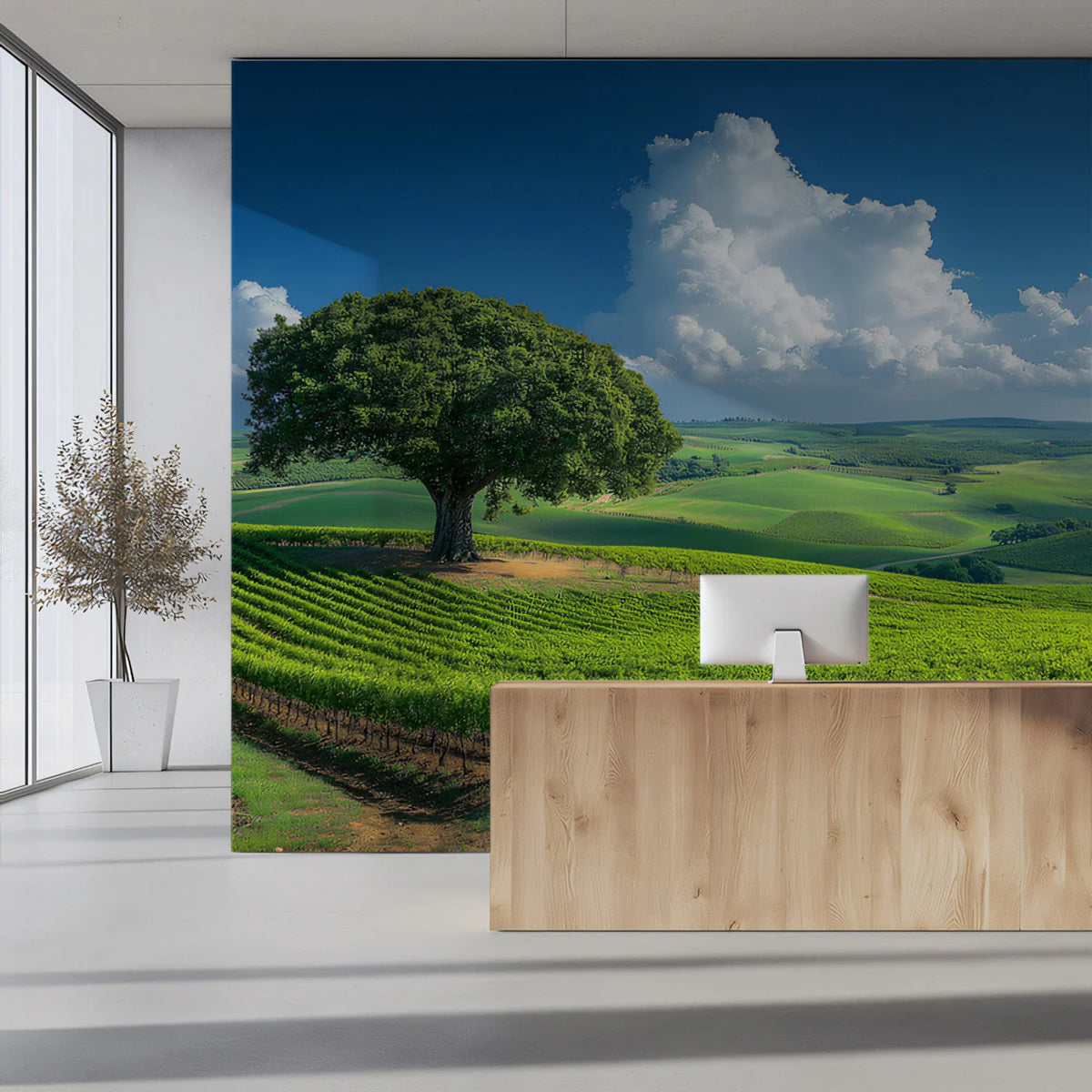 Rolling Vineyard Landscape Mural Wallpaper —Natural Scenic Design Mural Wallpaper - pure wallpaper artwork