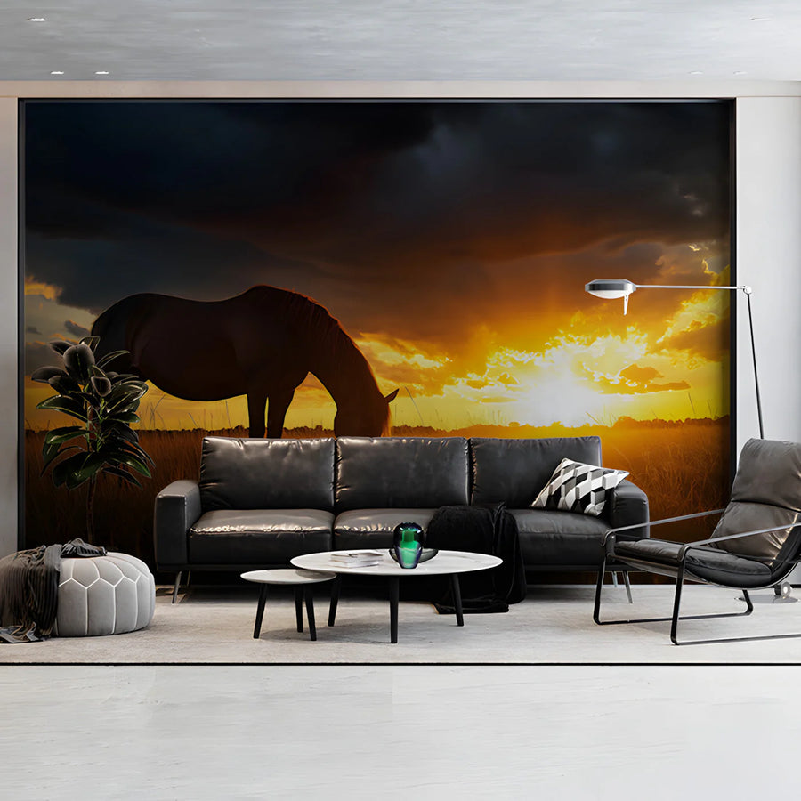 Grazing Horse at Sunset Mural Wallpaper —Dramatic Nature Scene Mural Wallpaper