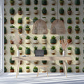 Potted Succulent Grid Mural Wallpaper — Modern Botanical Style Mural Wallpaper - pure wallpaper artwork