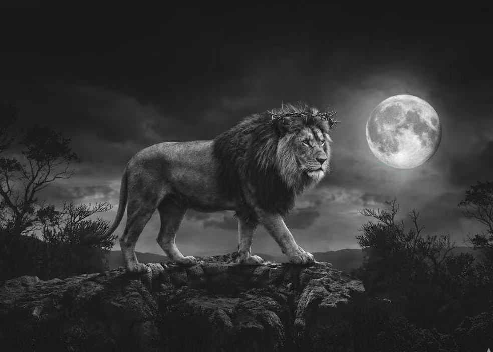 Crowned Lion Moonlight Mural Wallpaper —Dramatic Monochrome Mural Wallpaper - pure wallpaper artwork