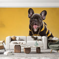Hypebeast French Bulldog Mural Wallpaper —Vibrant Urban Style Mural Wallpaper - pure wallpaper artwork