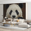 Giant Panda Close-Up Mural Wallpaper — Realistic Animal Portrait Mural Wallpaper - pure wallpaper artwork
