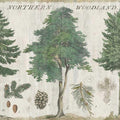 Custom Wallpaper - Custom Order 2026-02-21 18 41 04 Mural Wallpaper - pure wallpaper artwork