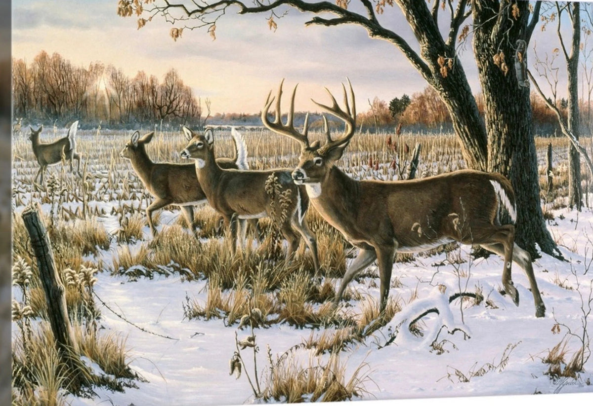 Custom Wallpaper - Custom Order 2026-03-21 09 00 55 Mural Wallpaper - pure wallpaper artwork