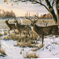 Custom Wallpaper - Custom Order 2026-03-21 09 00 55 Mural Wallpaper - pure wallpaper artwork