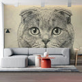 Scottish Fold Cat Illustration Mural Wallpaper — Hand-Drawn Style Mural Wallpaper - pure wallpaper artwork