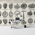 Naturalia Curiositatum Scientific Study Mural Wallpaper - pure wallpaper artwork