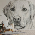 Labrador Portrait Mural Wallpaper — Hand-Drawn Sketch Mural Wallpaper - pure wallpaper artwork