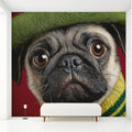 Charming Pug in Beret Mural Wallpaper — Whimsical Pet Portrait Mural Wallpaper - pure wallpaper artwork