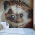 Close-Up Hedgehog Portrait Mural Wallpaper —Whimsical Wildlife Art Mural Wallpaper - pure wallpaper artwork
