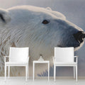 Arctic Polar Bear Portrait Mural Wallpaper — Wildlife Fine Art Mural Wallpaper - pure wallpaper artwork