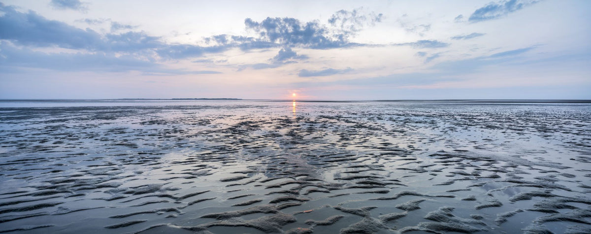 Wadden Sea Mural Wallpaper - pure wallpaper artwork