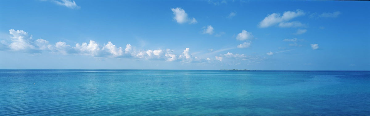 Serene Horizon Mural Wallpaper - pure wallpaper artwork