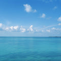 Serene Horizon Mural Wallpaper - pure wallpaper artwork
