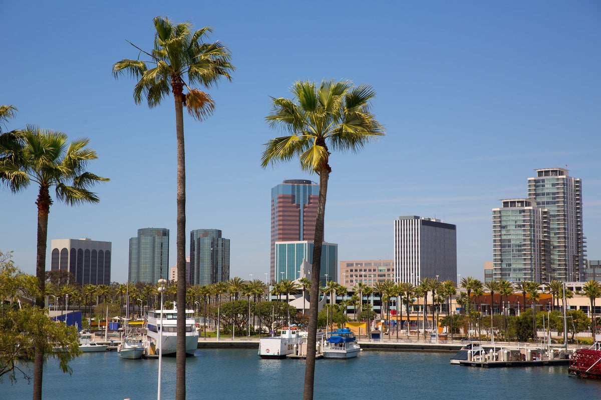 Long Beach Mural Wallpaper - pure wallpaper artwork