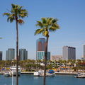 Long Beach Mural Wallpaper - pure wallpaper artwork