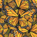 Monarch Movements, Olive Mural Wallpaper - pure wallpaper artwork