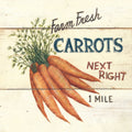 Farm Fresh Carrots Mural Wallpaper - pure wallpaper artwork
