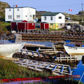 Newfoundland Harbour Mural Wallpaper - pure wallpaper artwork