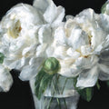 Blossoms in Grace Mural Wallpaper - pure wallpaper artwork