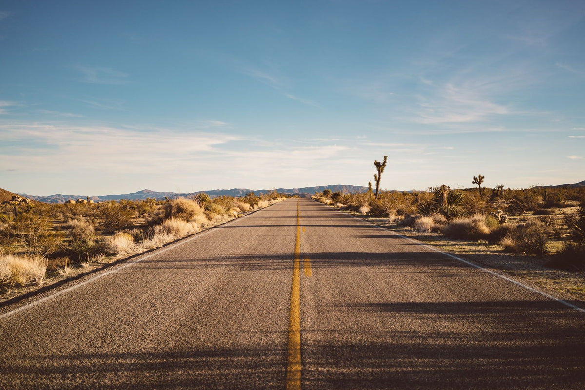 Joshua Tree Road Mural Wallpaper - pure wallpaper artwork