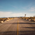 Joshua Tree Road Mural Wallpaper - pure wallpaper artwork