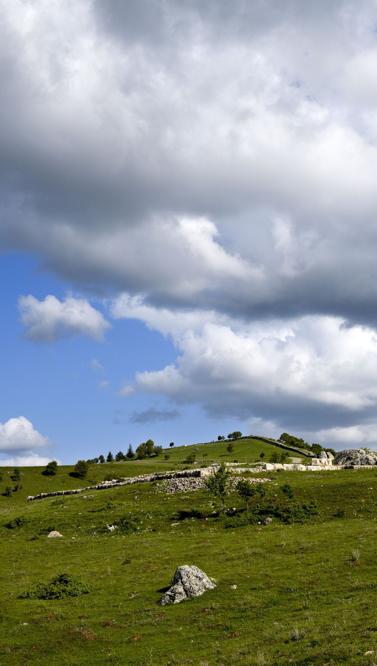 Rolling Meadow Mural Wallpaper - pure wallpaper artwork
