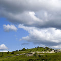Rolling Meadow Mural Wallpaper - pure wallpaper artwork
