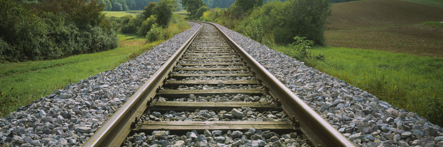 Woodland Tracks Mural Wallpaper