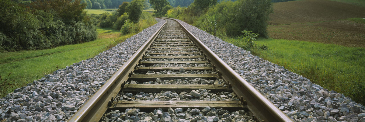 Woodland Tracks Mural Wallpaper - pure wallpaper artwork