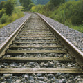 Woodland Tracks Mural Wallpaper - pure wallpaper artwork