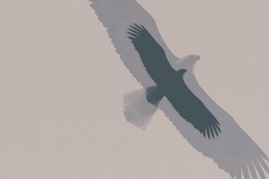 Double Eagle Flight Mural Wallpaper