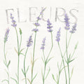 Lavender Fields II Mural Wallpaper - Light Tone - pure wallpaper artwork