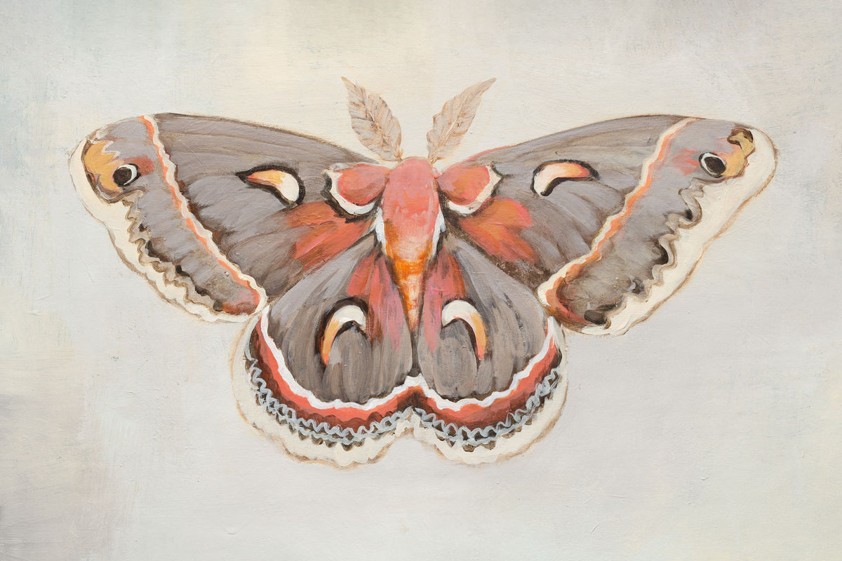 Forest Moth I Mural Wallpaper - pure wallpaper artwork
