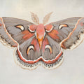 Forest Moth I Mural Wallpaper - pure wallpaper artwork