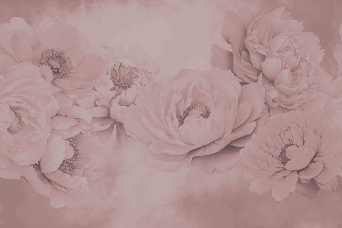 Transcendent Peony, China Rose Mural Wallpaper - pure wallpaper artwork