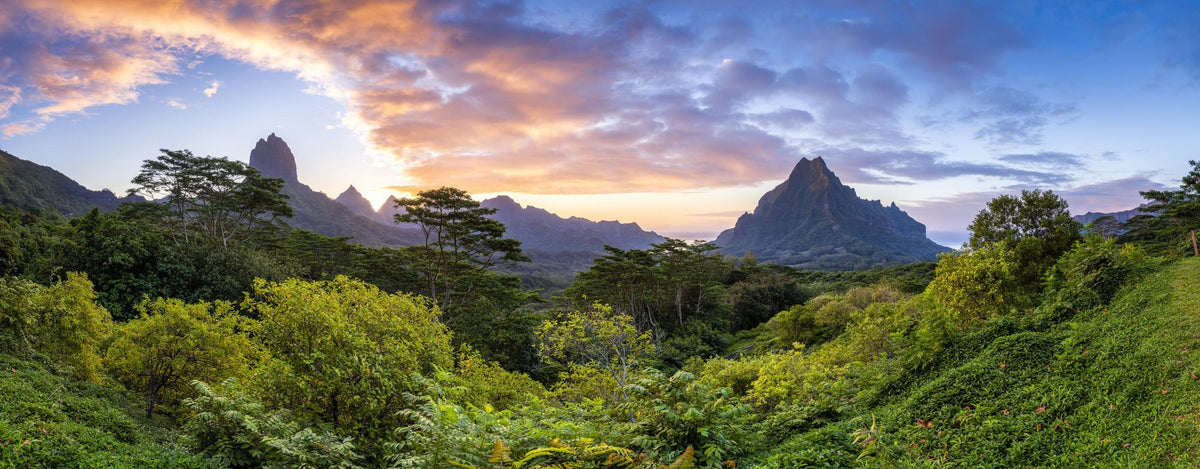 Sunset Over Moorea Island Mural Wallpaper - pure wallpaper artwork