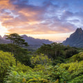 Sunset Over Moorea Island Mural Wallpaper - pure wallpaper artwork