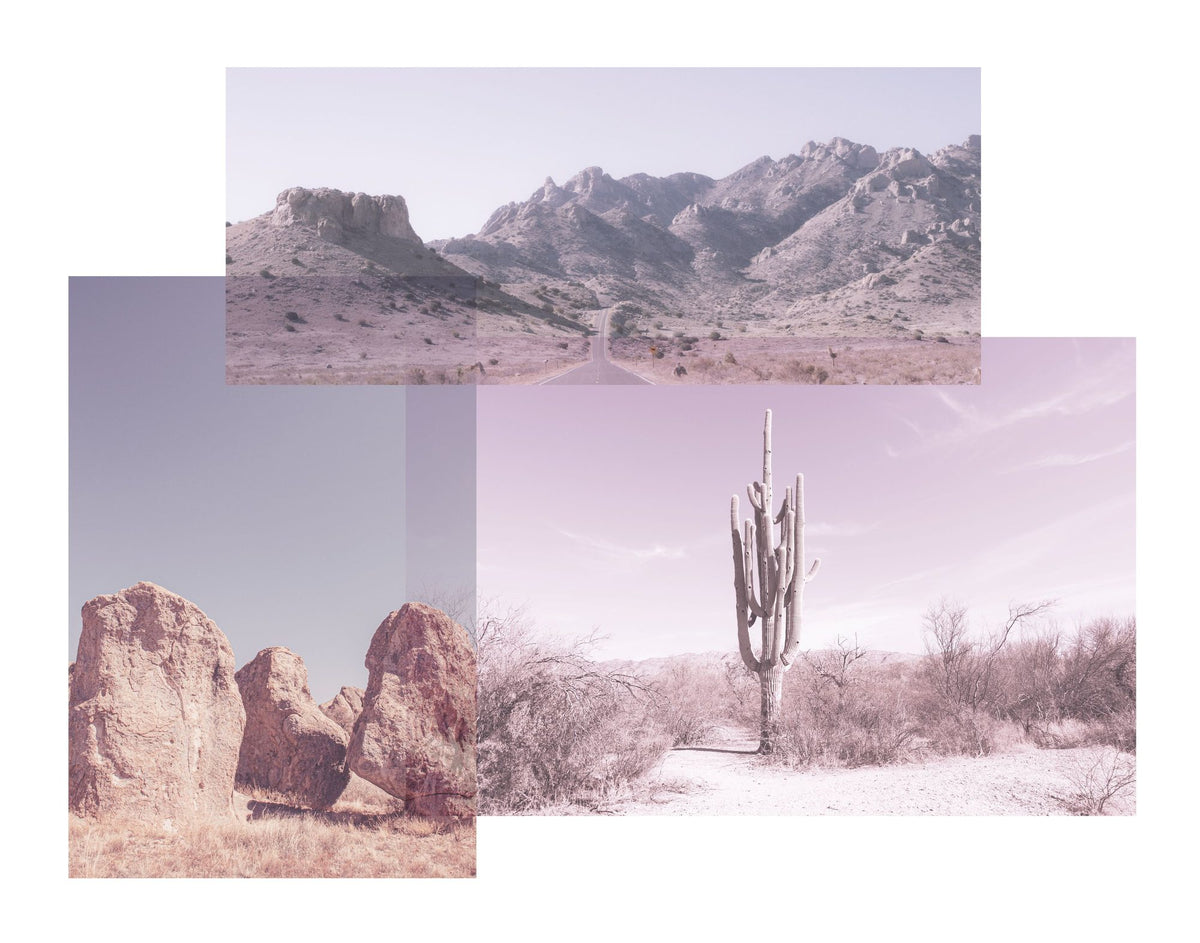 Desert Snaps Mural Wallpaper - pure wallpaper artwork