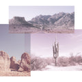 Desert Snaps Mural Wallpaper - pure wallpaper artwork
