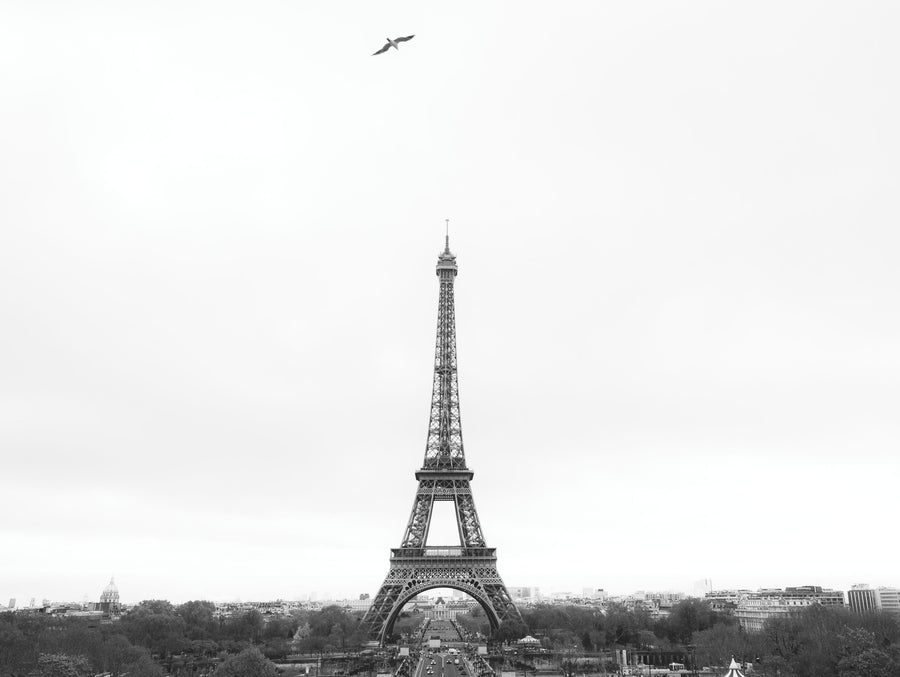 A Birds View of Paris Mural Wallpaper