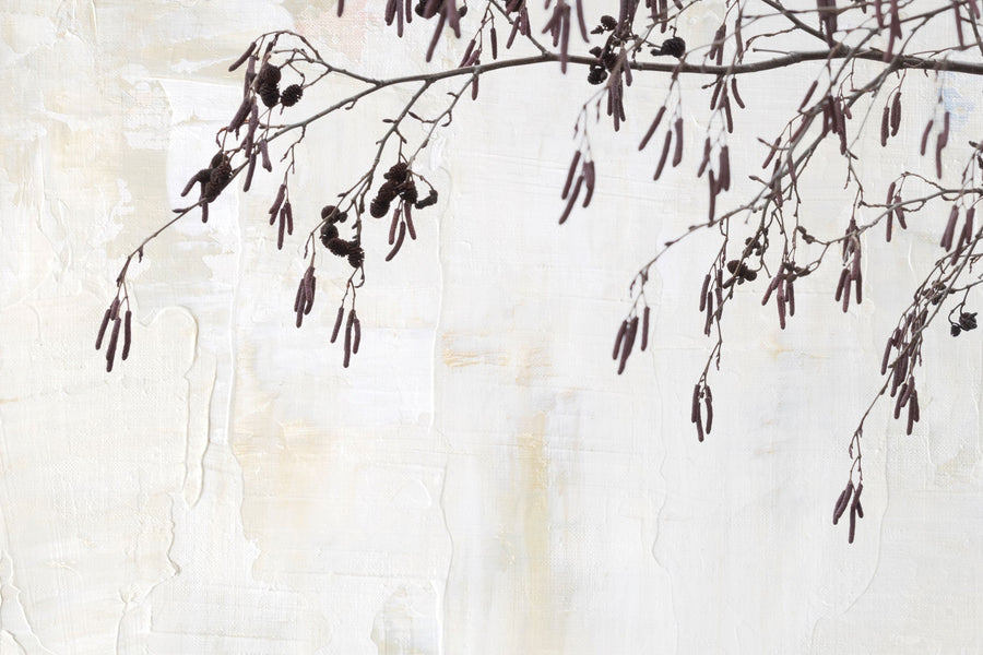 Catkins in Plaster II Mural Wallpaper