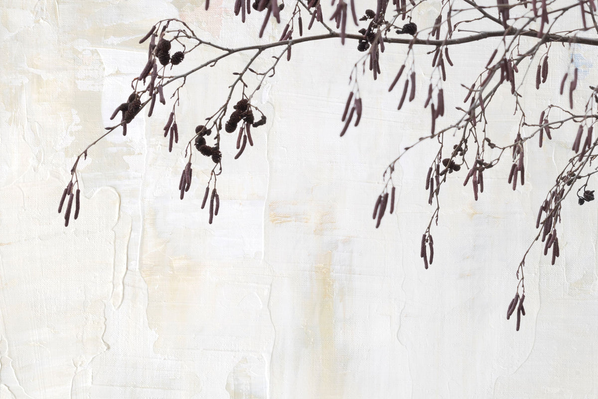 Catkins in Plaster II Mural Wallpaper - pure wallpaper artwork