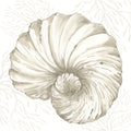 Coastal Reef II Mural Wallpaper - pure wallpaper artwork